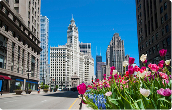 Translation Services in Chicago, Illinois Professional Translation Services in Chicago, Illinois
