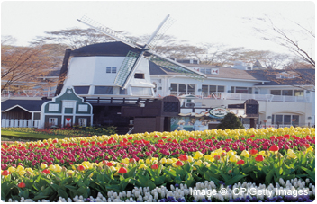 Dutch Translation Services in Netherlands Dutch Translation Services in Netherlands