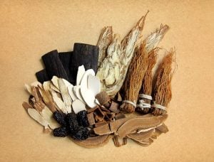 Traditional Chinese Herbal Medicine