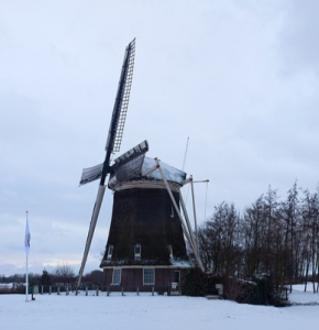 Dutch Windmill