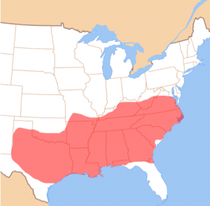 Southern America