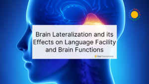 brain lateralization