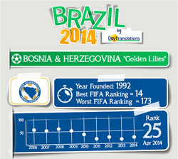 Brazil 2014 Bosnia-Herzegovina