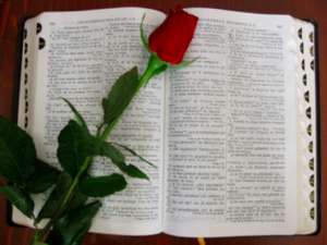 The Bible