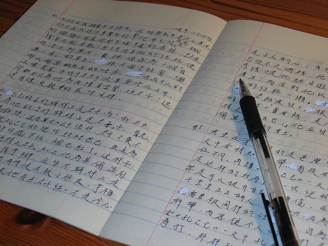 Chinese Language Homework