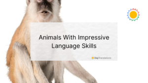 animal language skills