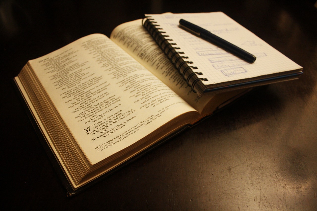 7 Habits of Effective Language Learners You Need to Try
