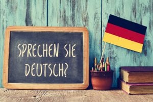 do you speak german written in german language beside a small german flag