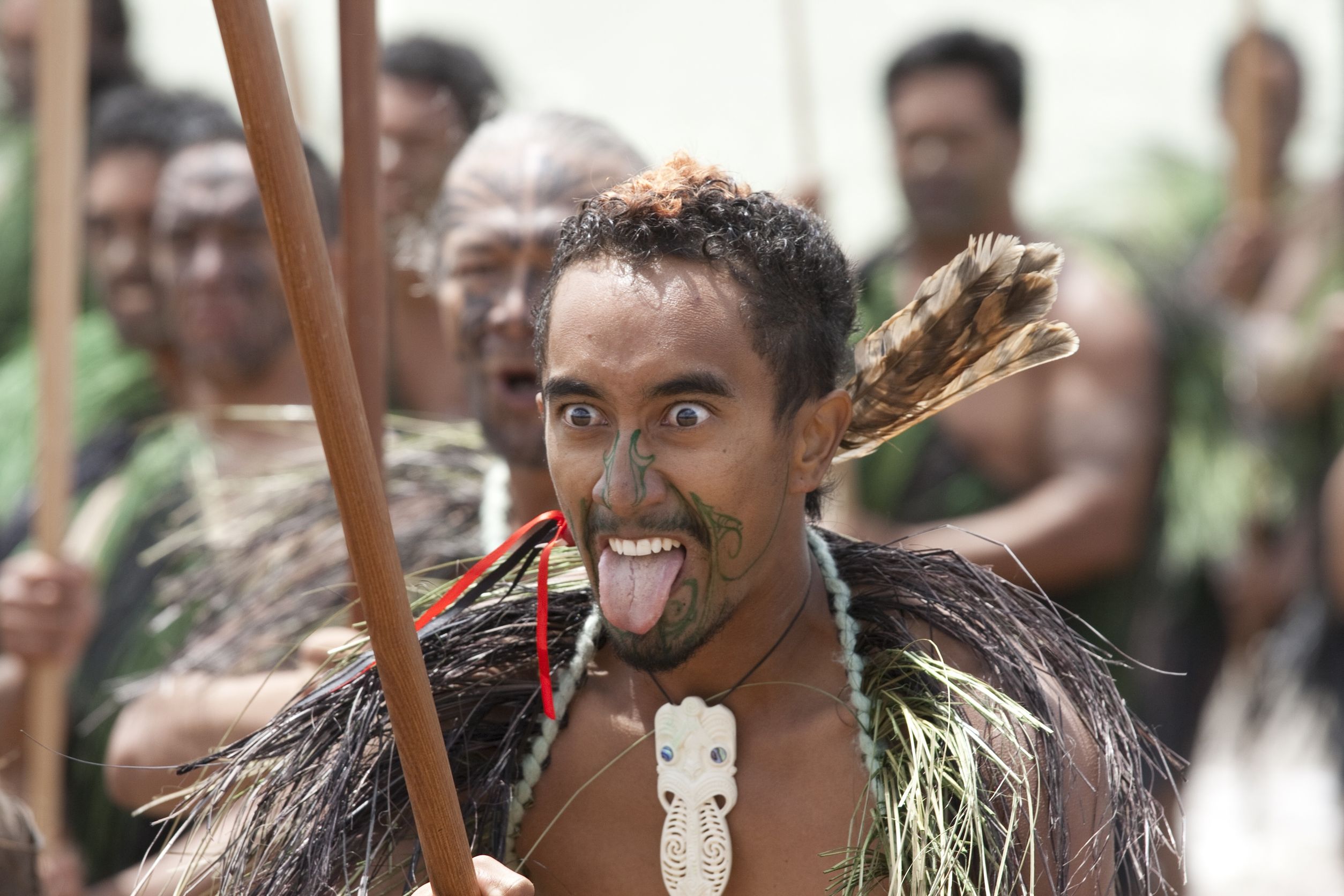 māori warriors performing traditional haka in new zealand