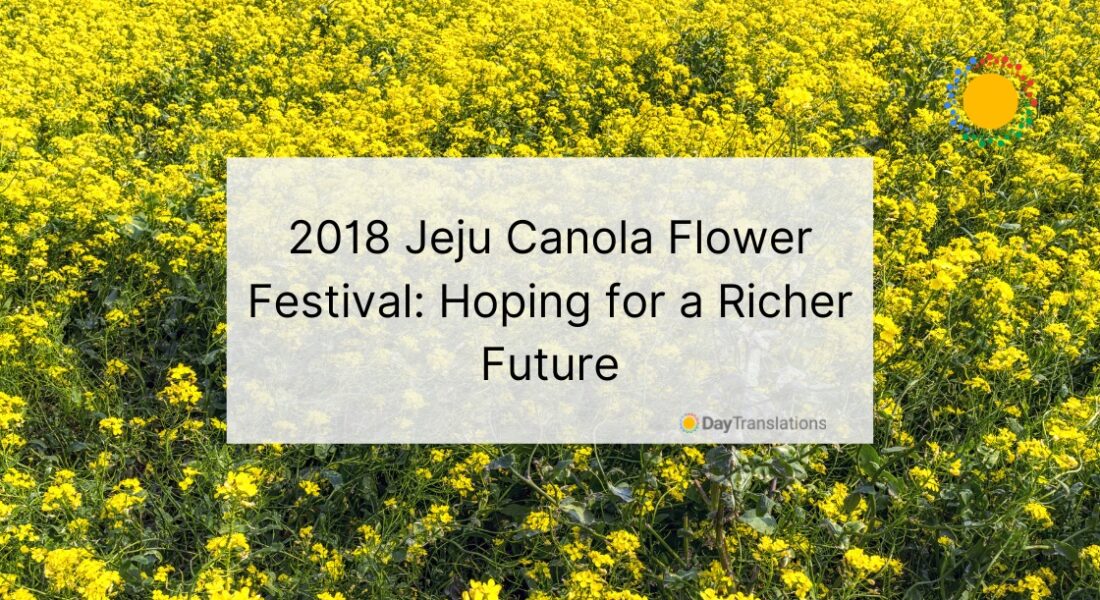 2018-Jeju-Canola-Flower-