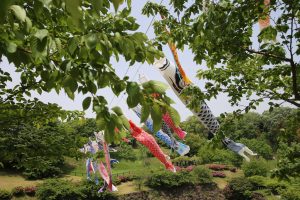 carp streamer celebration Ōgata Renkyū