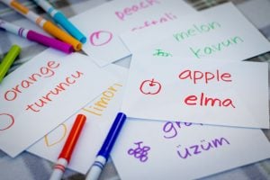 Learning Turkish Language with Fruits Name Flash Cards