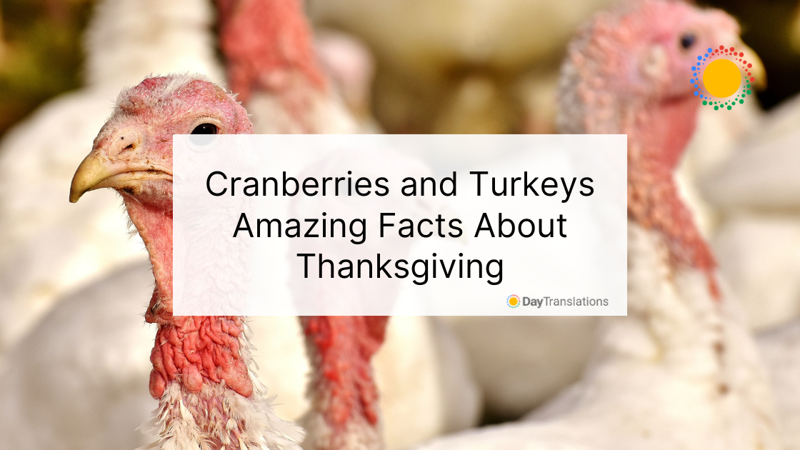 amazing facts about thanksgiving