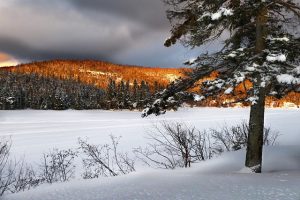 Canadian snow landscape