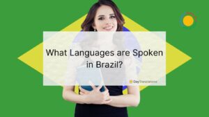 Brazil language