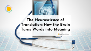 The Neuroscience of Translation: How the Brain Turns Words into Meaning