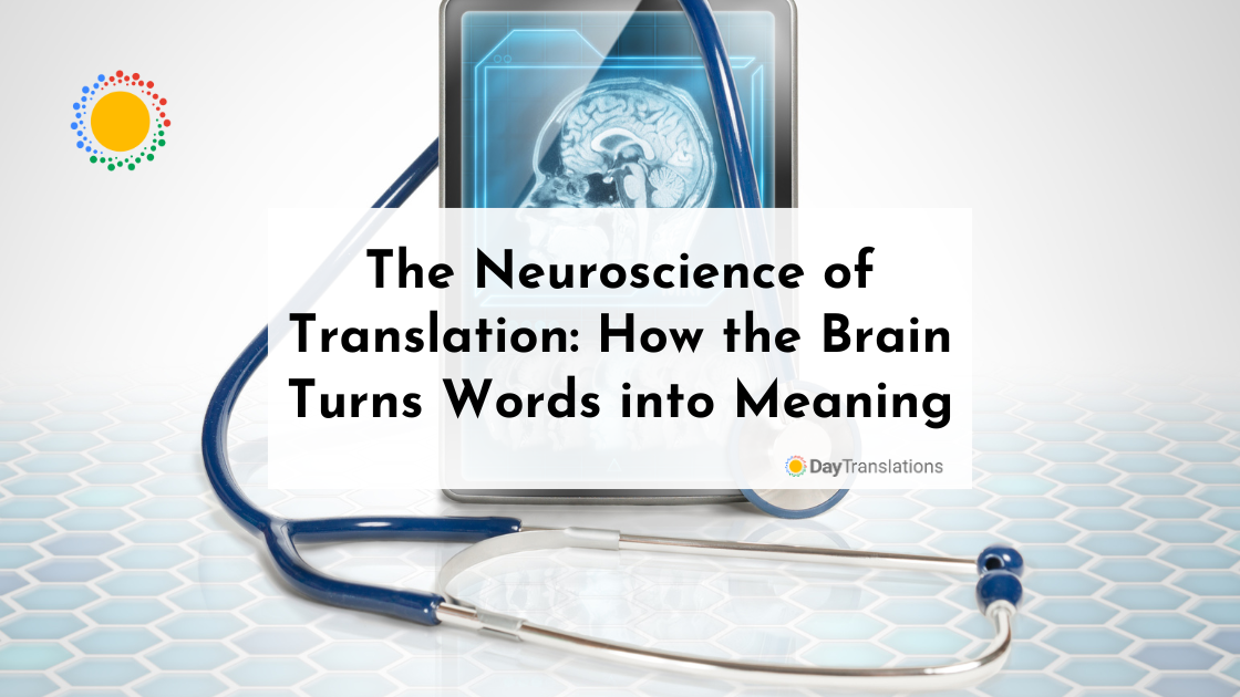 The Neuroscience of Translation: How the Brain Turns Words into Meaning