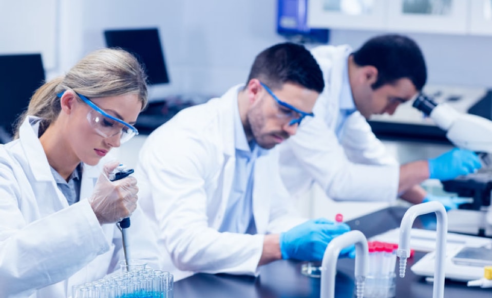 technical scientific translation services