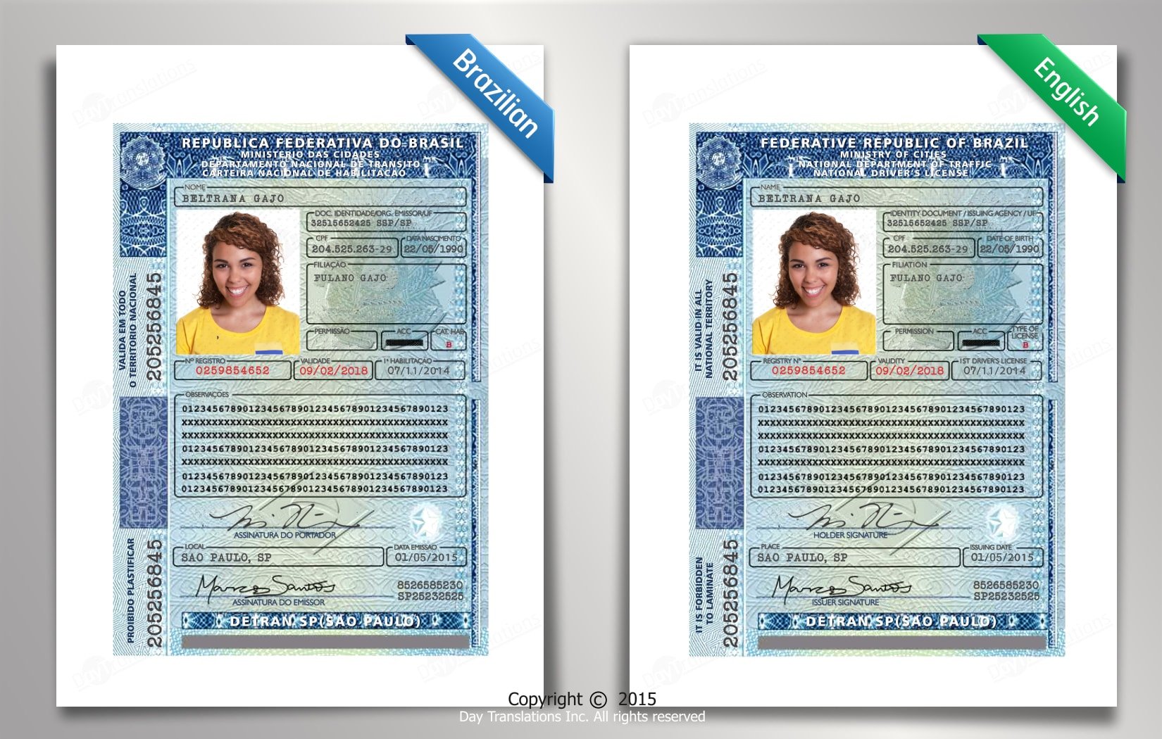 Brazilian to English Driving License Sample