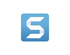 Techsmith Snagit