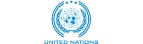 United nation Icon