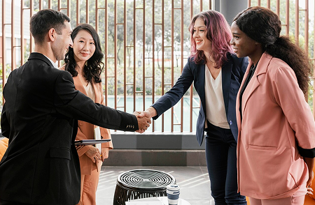 What is Language Consulting